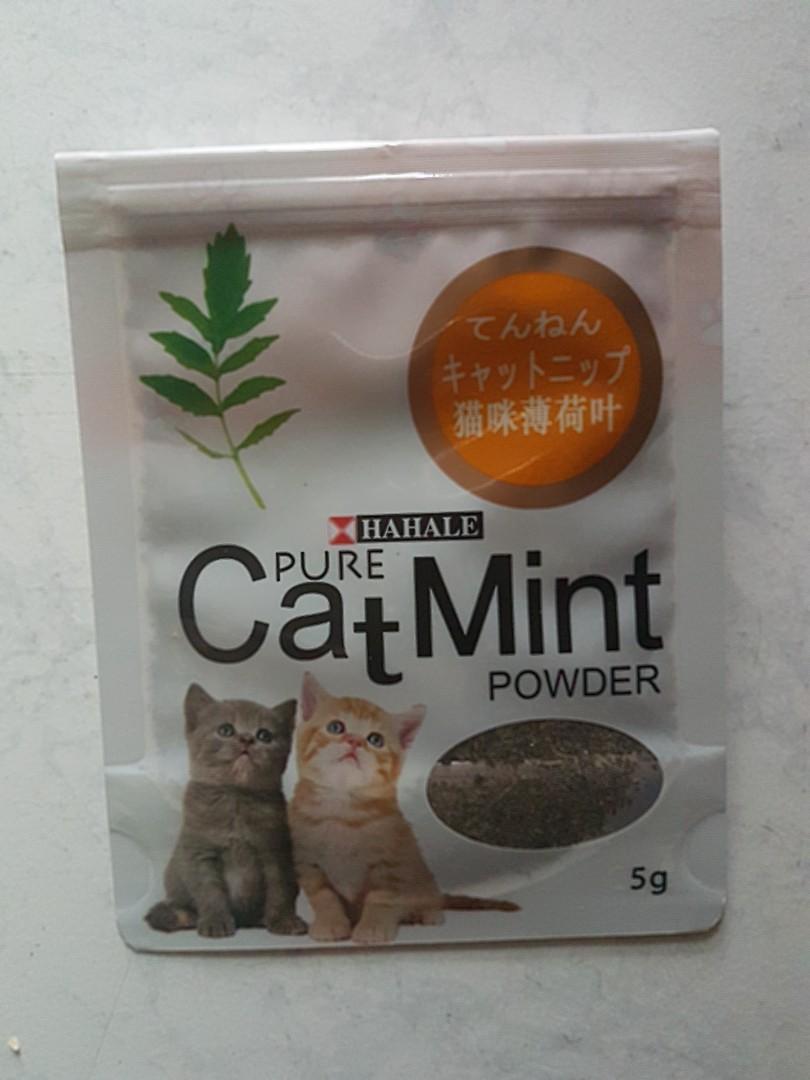 Catnip seed, Pet Supplies, Pet Accessories on Carousell