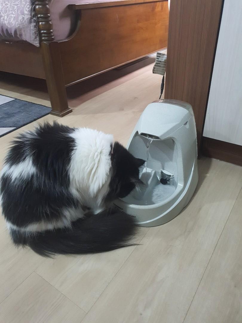 IKEA Sofa Bed (discontinued model), Furniture & Home Living, Furniture