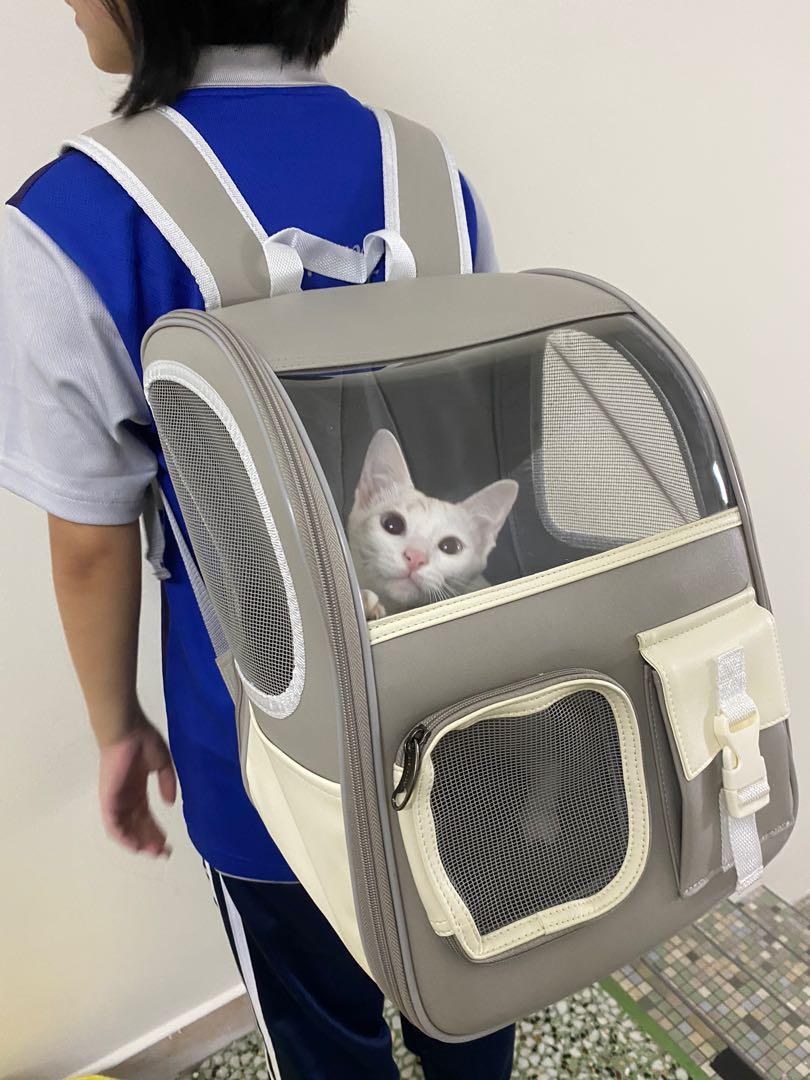 Large Pet Dog Cat Carrier Bag Foldable Portable Beg Kucing Besar, Pet ...