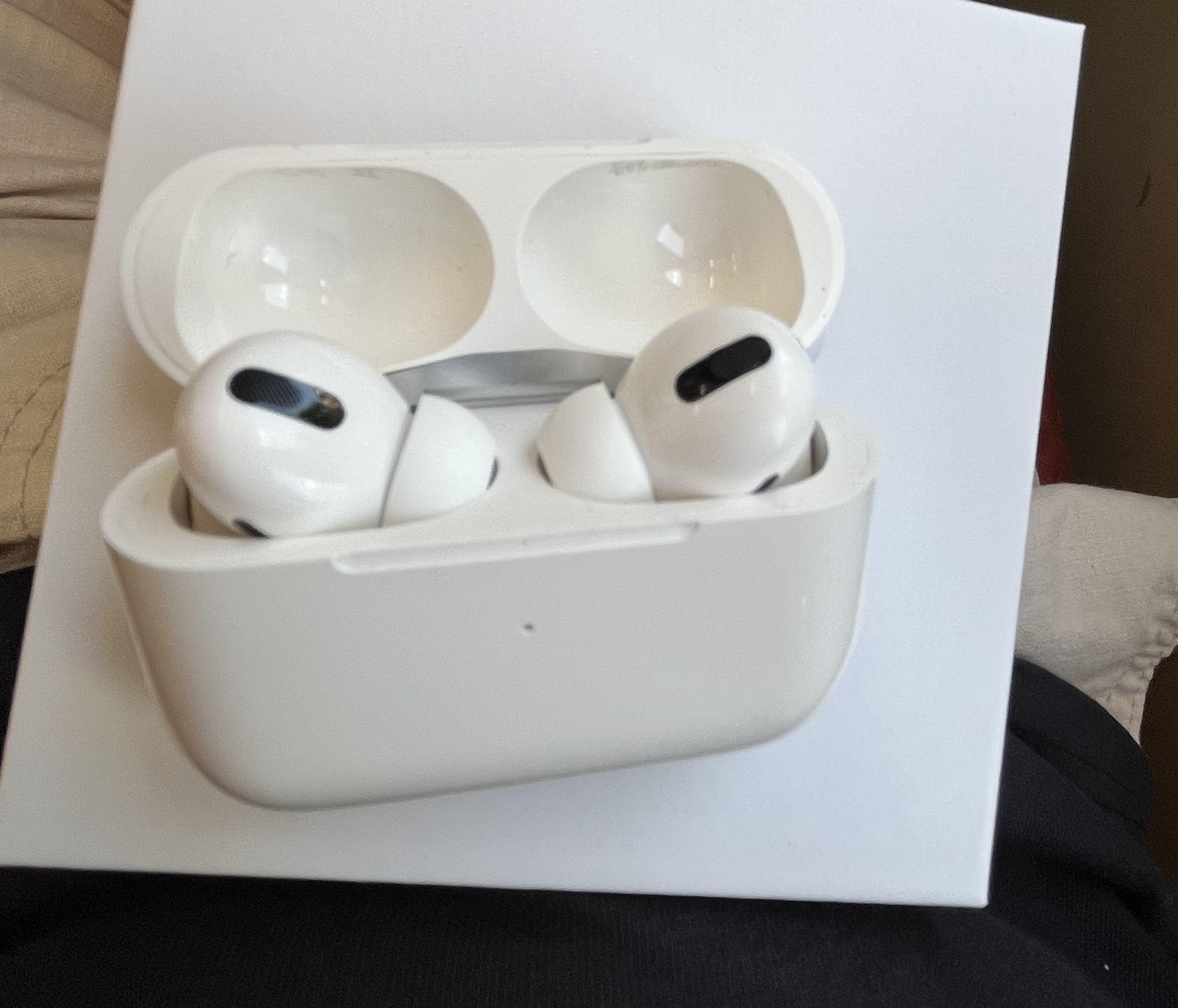 beyond the vines bag xs