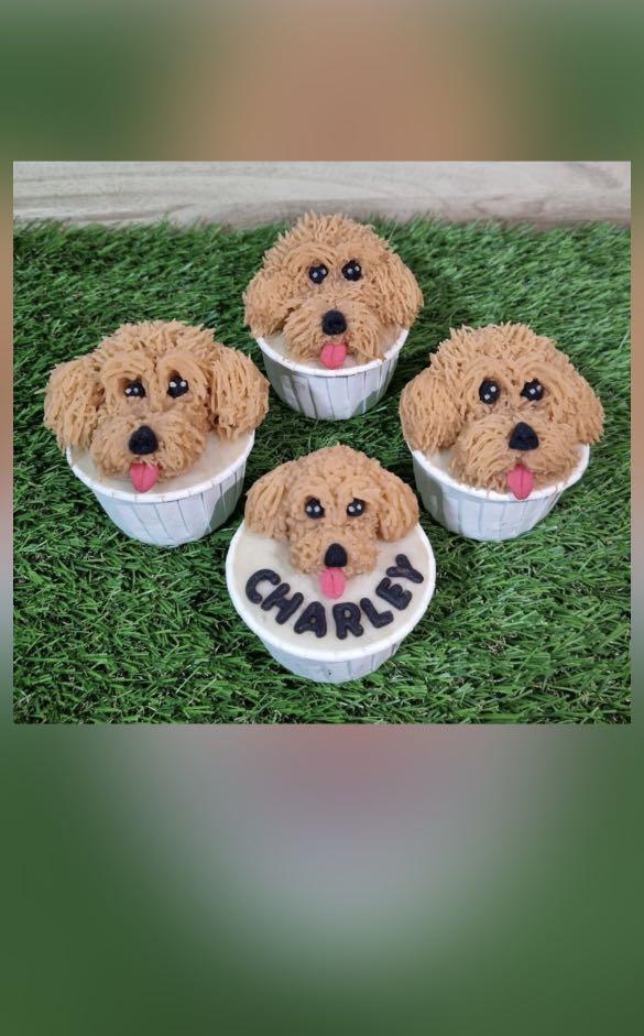 Goldendoodle cupcakes online