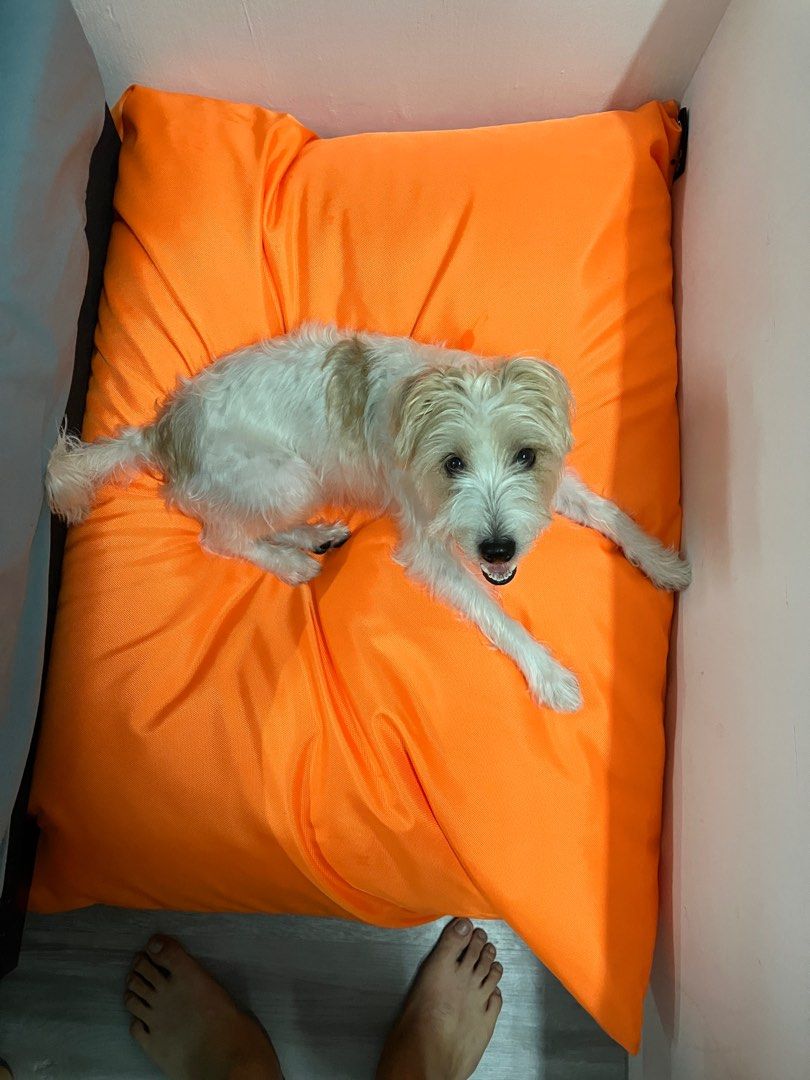 Vintage sew machine leg with wood tabletop, Furniture & Home Living